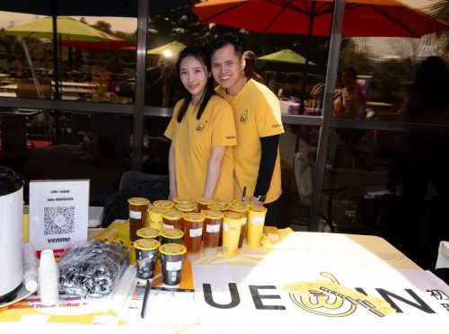 USPAACC Plug  Play-100