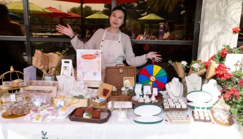 USPAACC Plug  Play-101