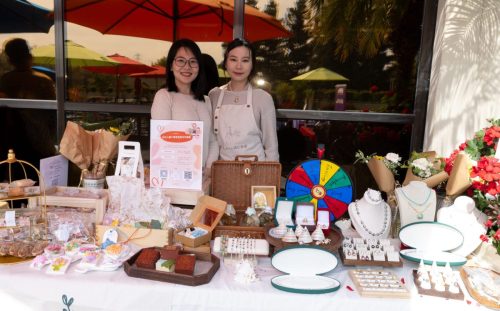 USPAACC Plug  Play-102