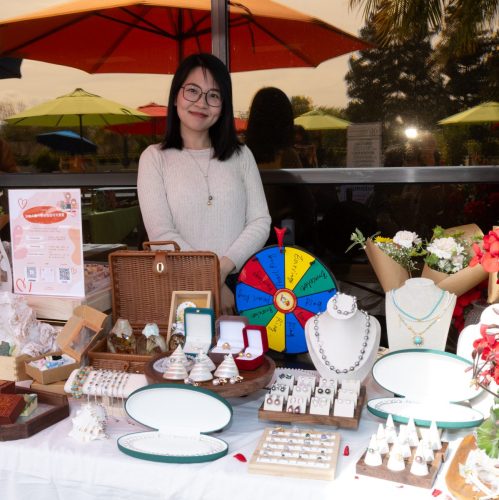 USPAACC Plug  Play-104