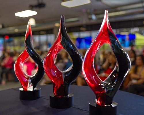 USPAACC Plug  Play-108