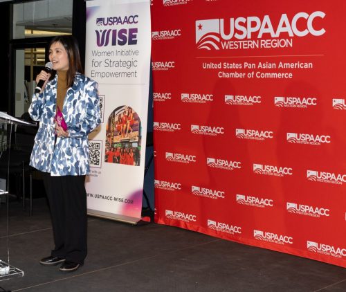 USPAACC Plug  Play-111