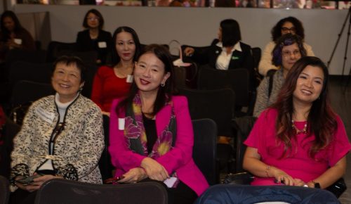 USPAACC Plug  Play-115