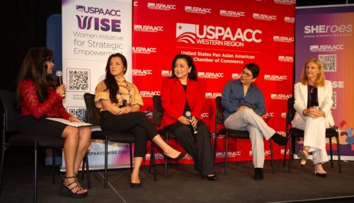 USPAACC Plug  Play-118