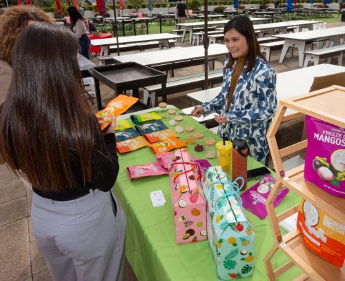 USPAACC Plug  Play-120