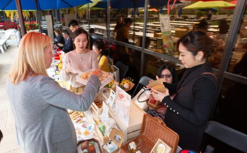 USPAACC Plug  Play-121