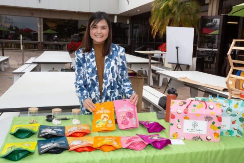 USPAACC Plug  Play-124