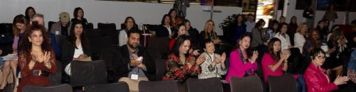 USPAACC Plug  Play-98