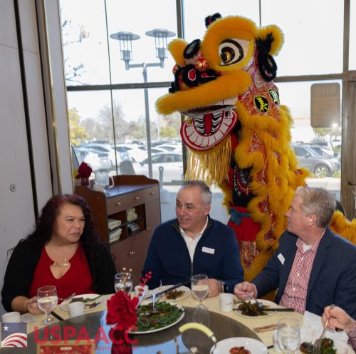 majtijan-lunar-new-year-109 55083545134 o