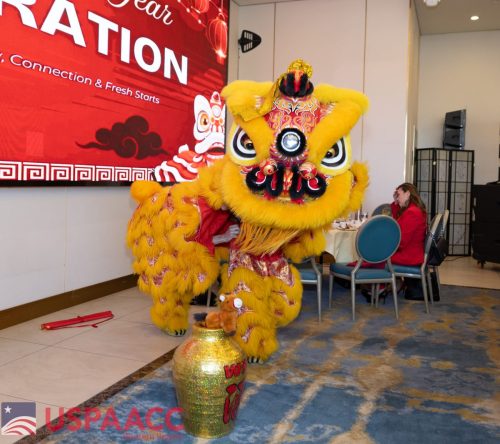 majtijan-lunar-new-year-90 55083650035 o