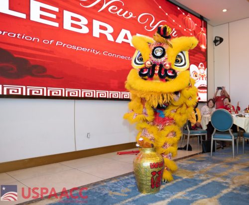 majtijan-lunar-new-year-98 55083651125 o